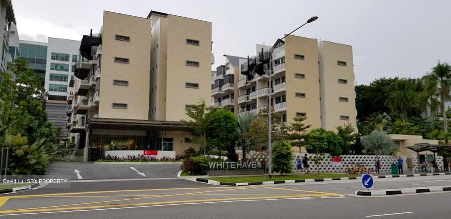 Whitehaven (D5), Apartment #365817001